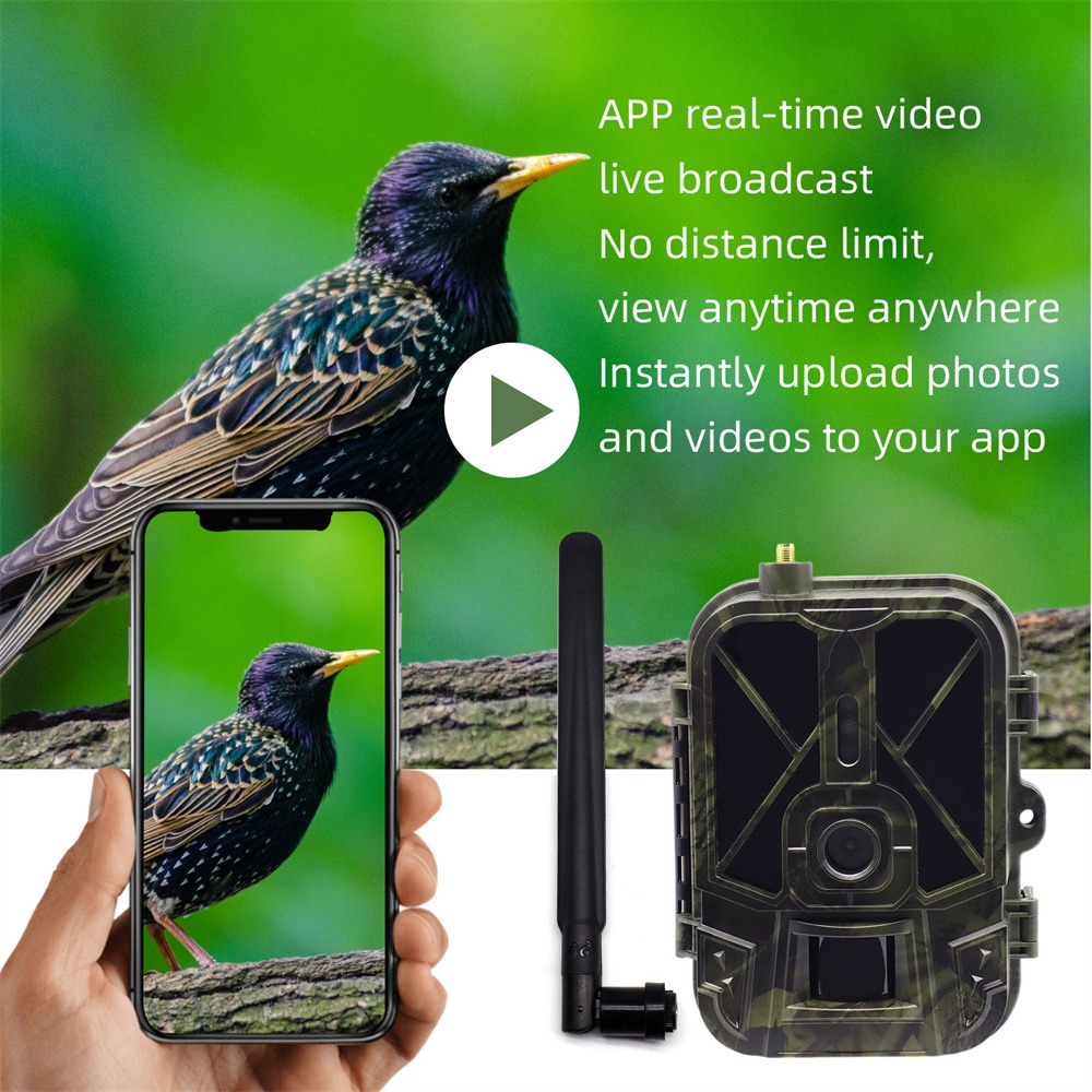 Outdoor 4G 120MP 4K Live Show  – Hunting Outdoor Shows recenzja i cena