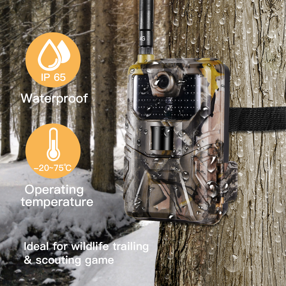 Wildlife Hunting Camera 20MP H – Outdoor Hunting Video Camera recenzja i cena