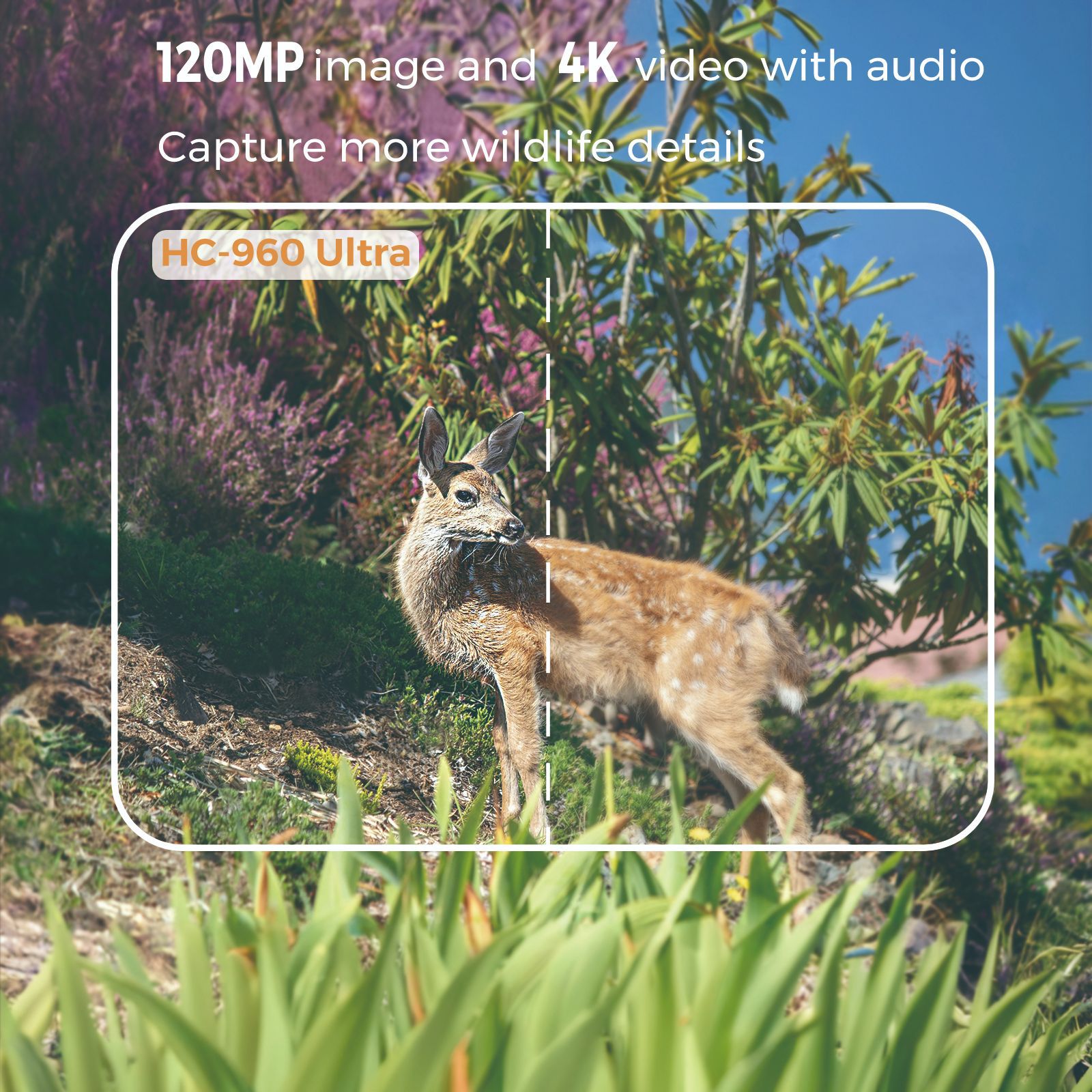 Outdoor 4K Video 120MP Photo 4 – Outdoor Hunting Video Camera recenzja i cena