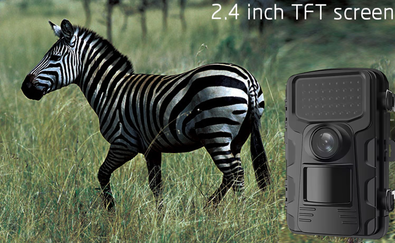 Outdoor Sports Hunting Cameras – Outdoor Hunting Video Camera recenzja i cena