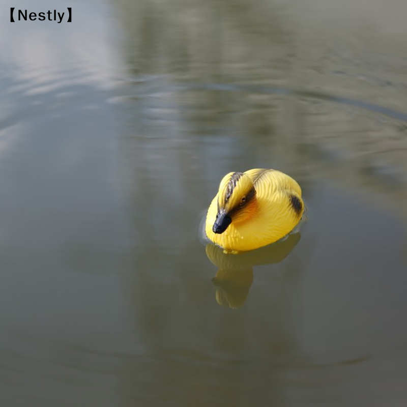 Floating Duck Ducklings Pond S – Decoy Duck Plastic recenzja i cena