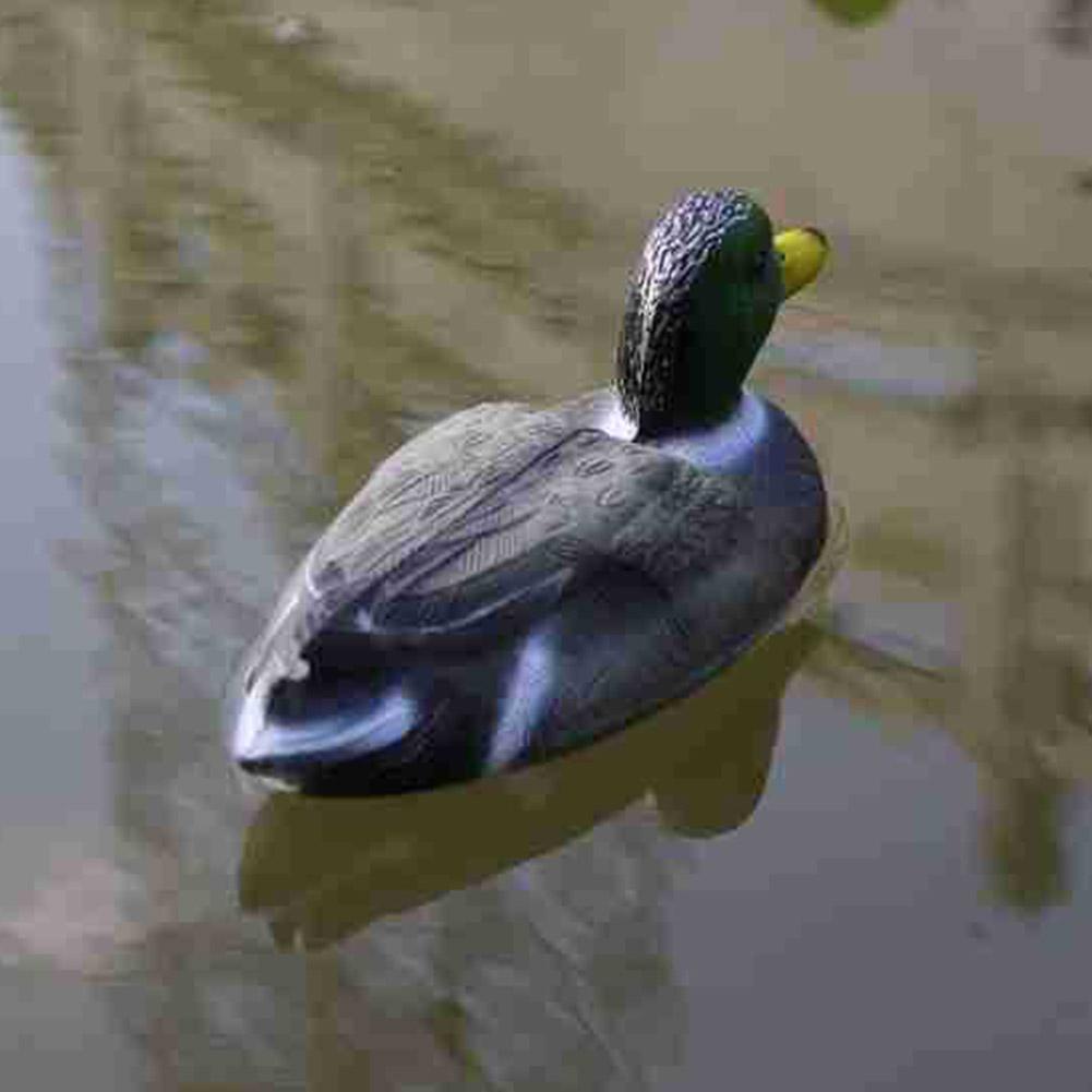 Plastic Fake Duck Duck Ornamen – Decoy Duck Plastic recenzja i cena