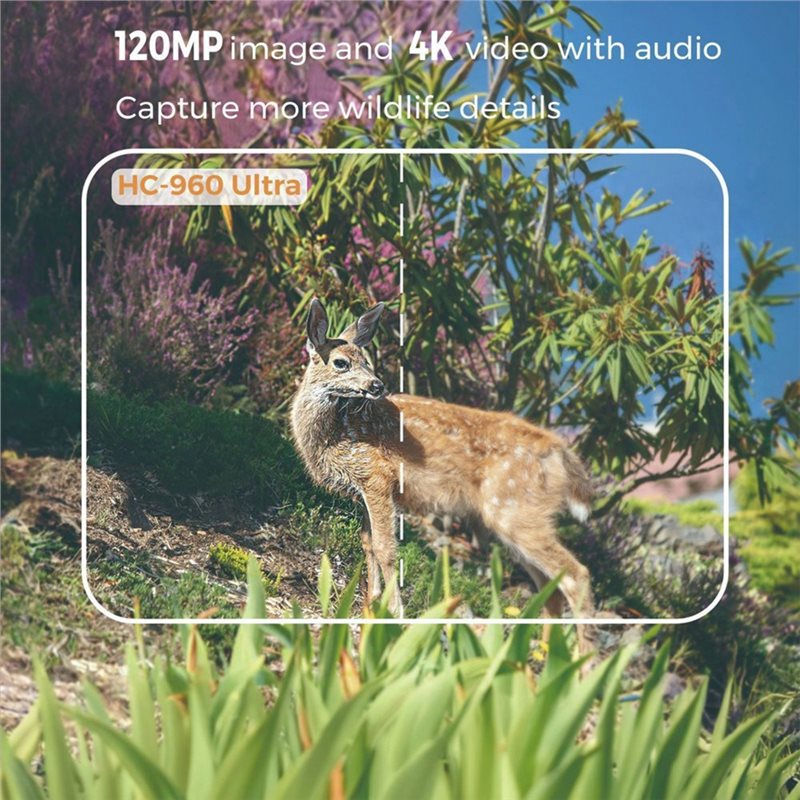 AS95-Outdoor 4G 120MP 4K Live  – Hunting Outdoor Shows recenzja i cena