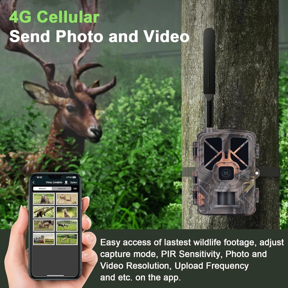 Outdoor 4G 30MP 2K Live Show W – Hunting Outdoor Shows recenzja i cena