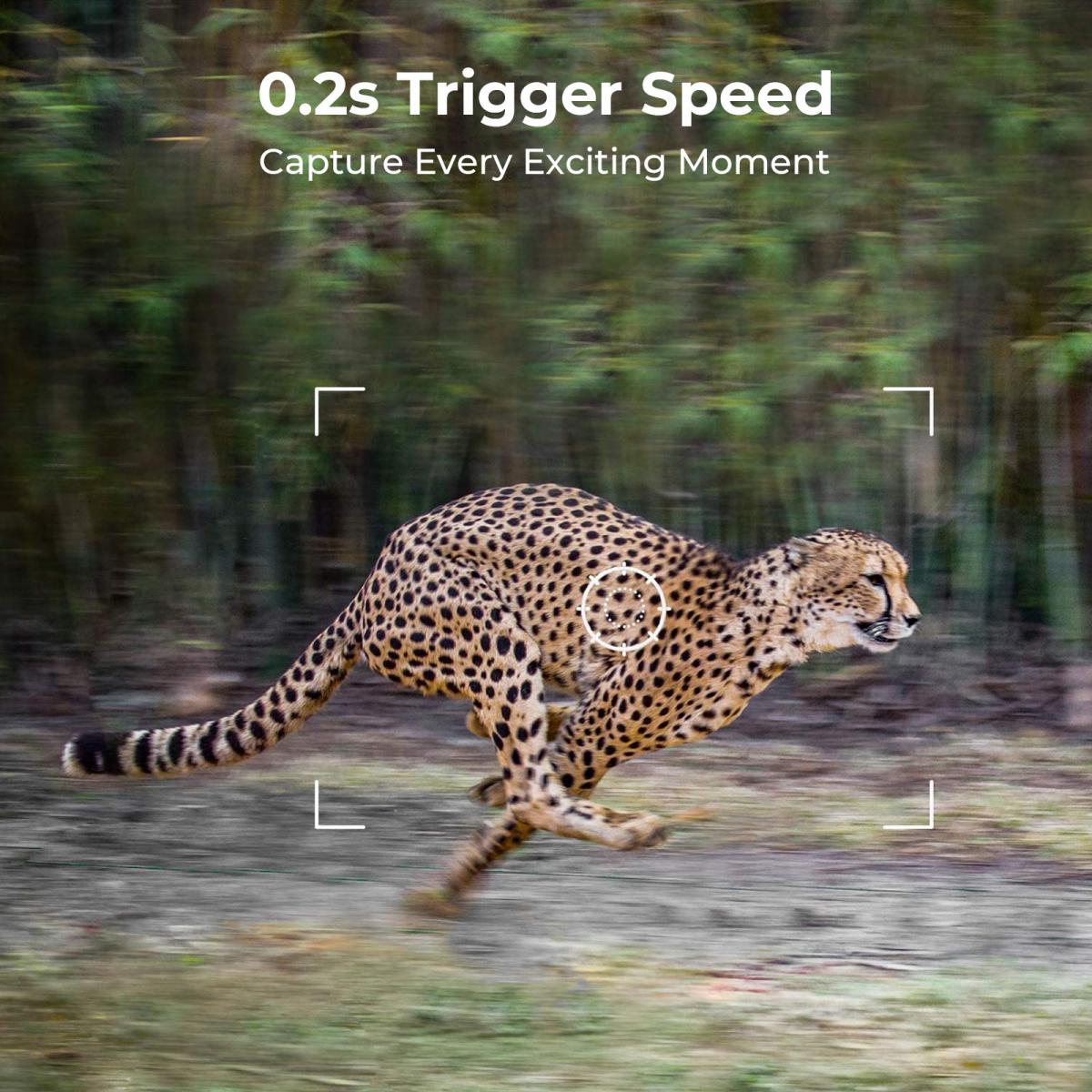EU 4G Cellular 2K Battery Sola – Outdoor Hunting Video Camera recenzja i cena