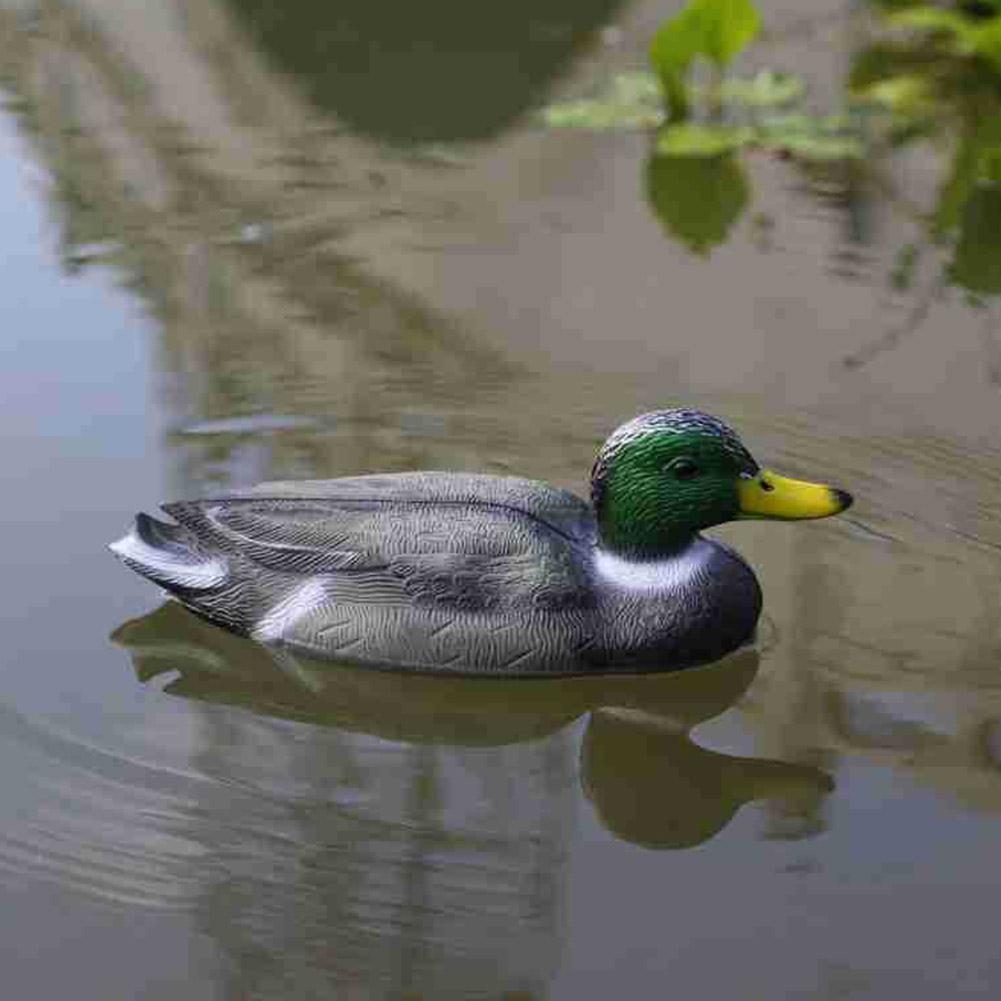 Outdoor Realistic Plastic Duck – Decoy Duck Plastic recenzja i cena
