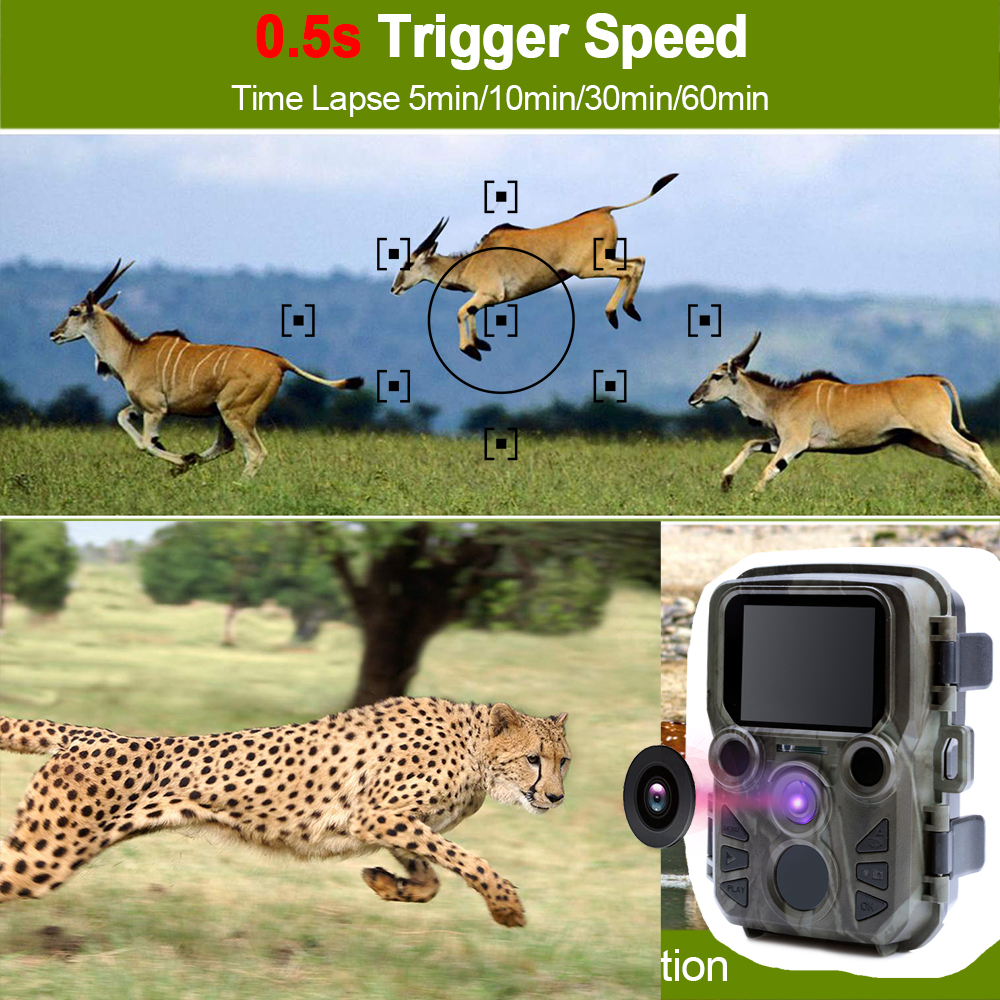 Mini Trail Game Camera Night V – Outdoor Hunting Video Camera recenzja i cena