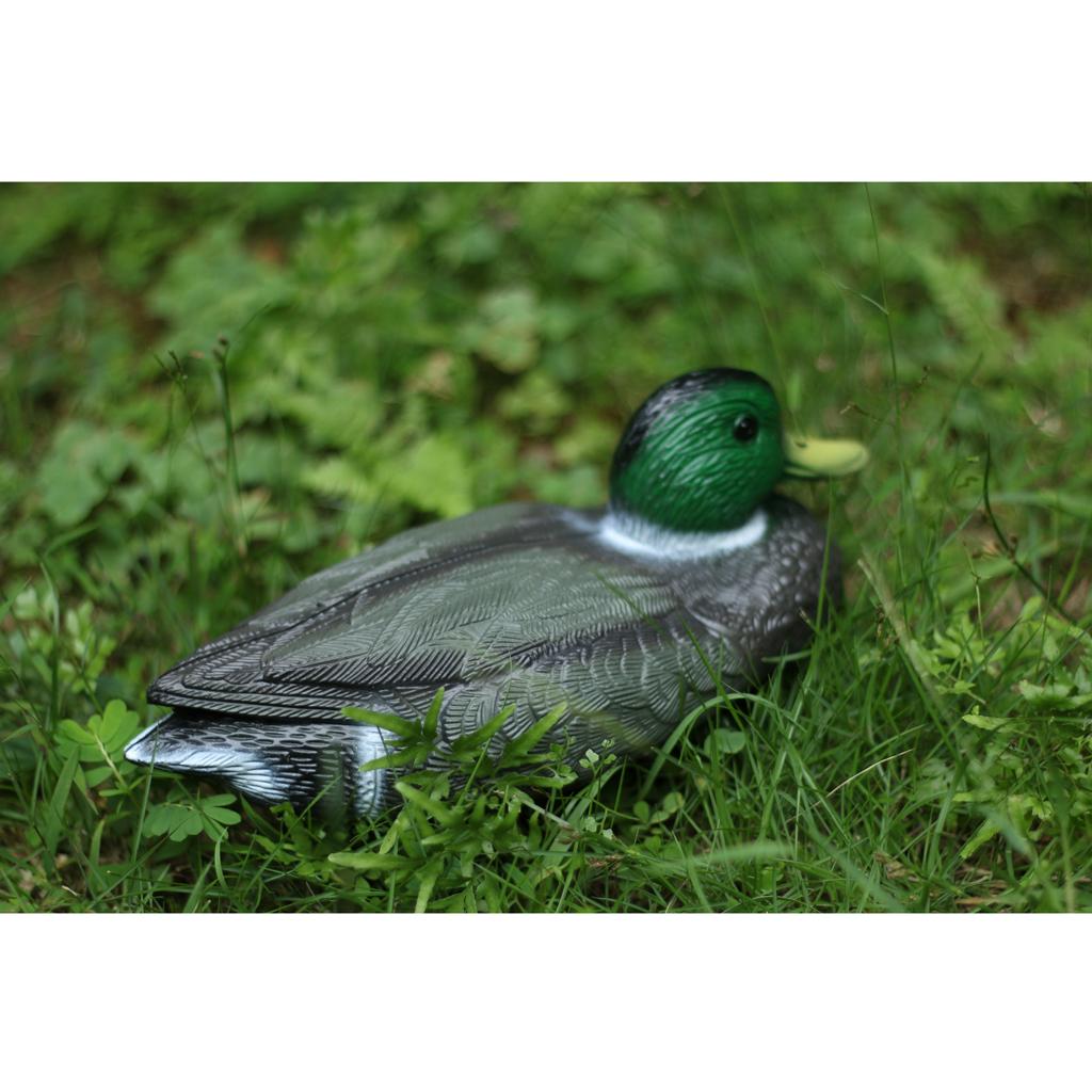 Lifelike Plastic Duck Decoy Ga – Decoy Duck Plastic recenzja i cena